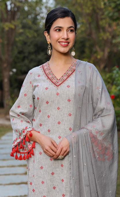 Grey & Red Embroidered Salwar Suit